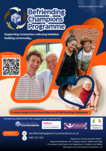 befriending poster final